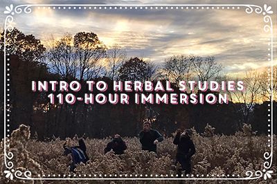 Class Title: Intro to Herbal Studies 110-Hour Immersion (superimposed over happy students leaping in an autumnal field of dried goldenrod, lightly silhouetted against a bright mackerel sky near dusk.)