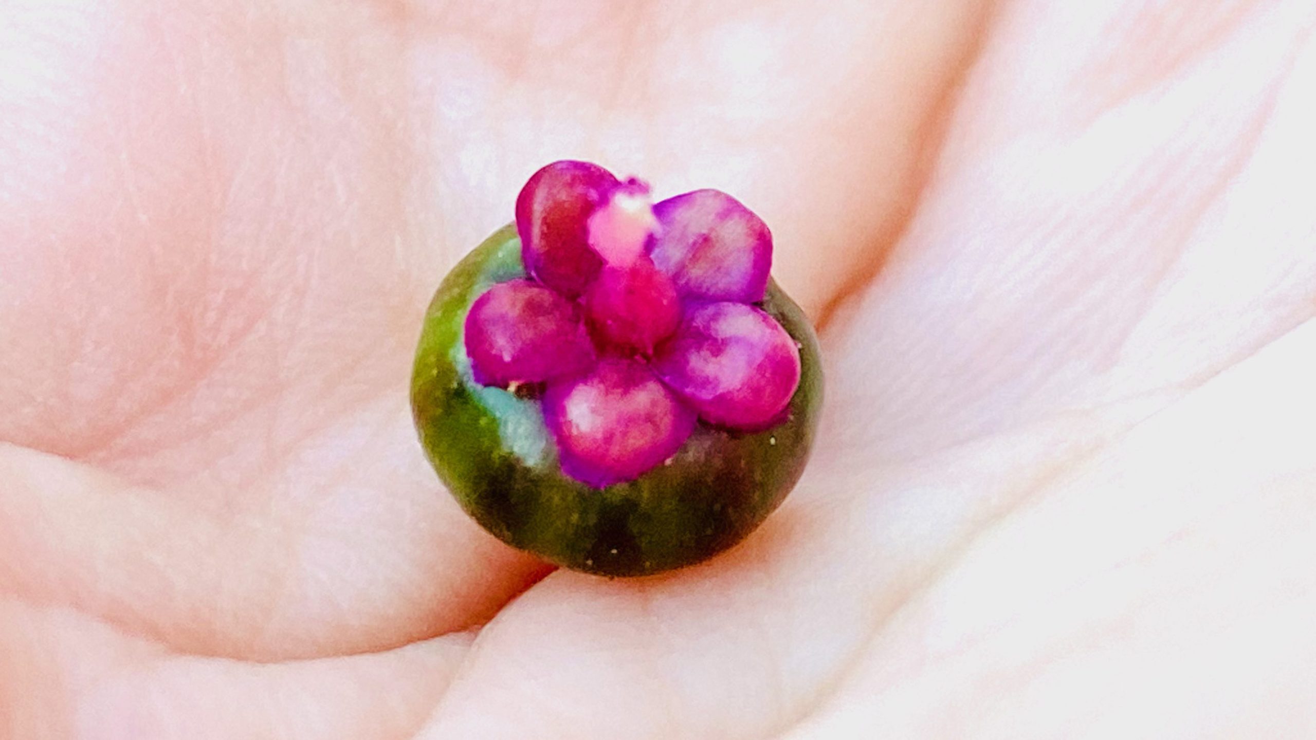 A poke berry in the palm of a hand - a fuchsia rosette sitting atop a round green berry